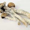 melmac magic mushrooms online