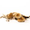 buy white magic mushroom online